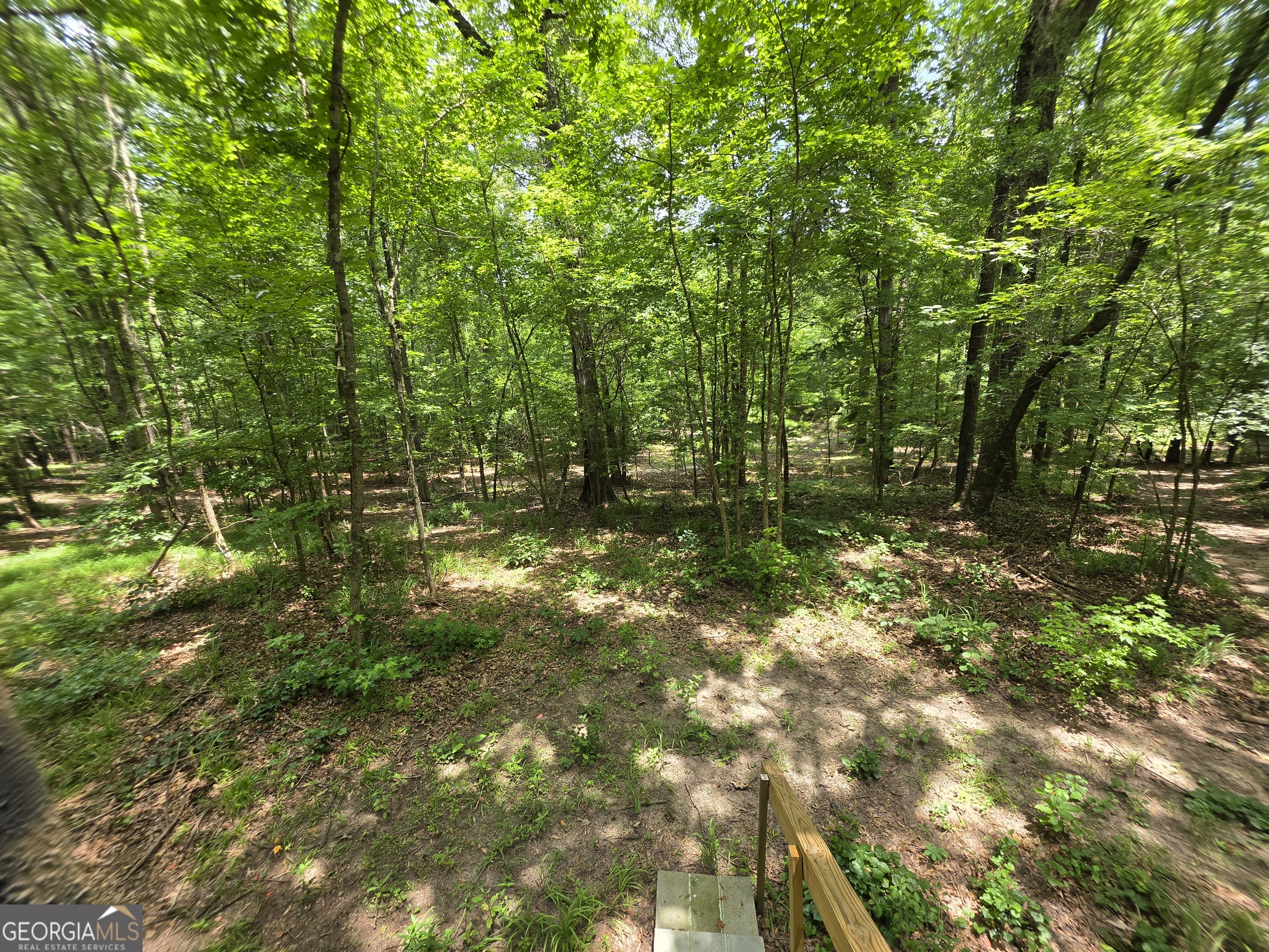 0 Court Ground Washington, GA 30673 - Photo 30 of 46 Gallery Image 30