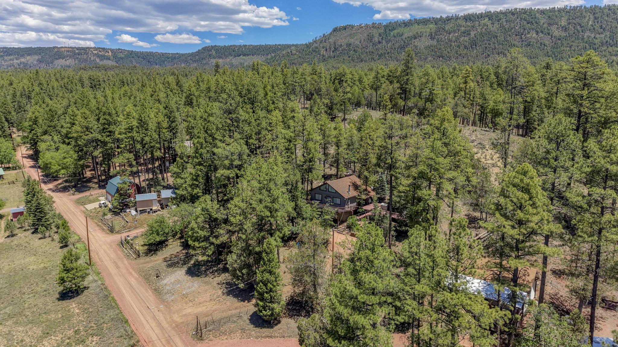 575 South Cienega Road Payson, AZ 85541 - Photo 1 of 30