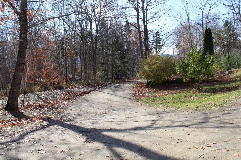 53 Hornbeam Road Dedham, ME 04429 - Photo 22 of 23 Photo