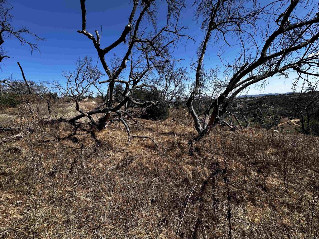 40 West Oak Glen Road Valley Center, CA 92082 - Photo 16 of 17 a backyard of a house with lots of green space