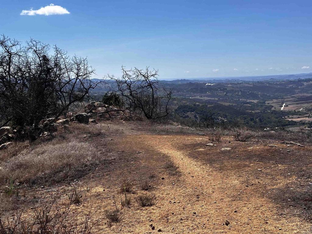 40 West Oak Glen Road Valley Center, CA 92082 - Photo 6 of 17 a view of a dry yard with trees
