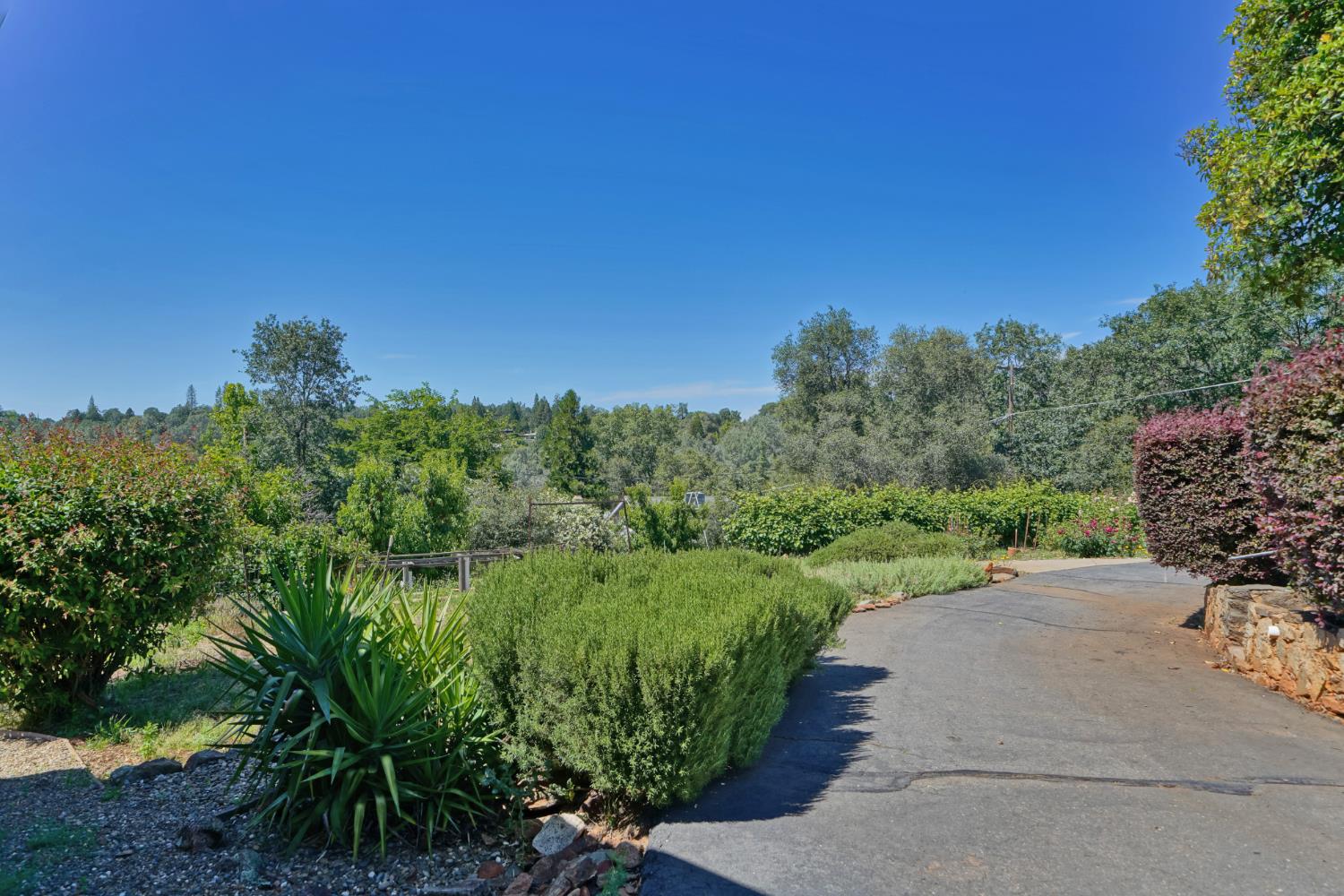 2564 Baker Road Placerville, CA 95667 - Photo 15 of 16