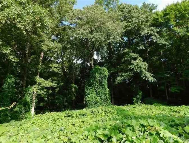 a view of a tiny house with a park