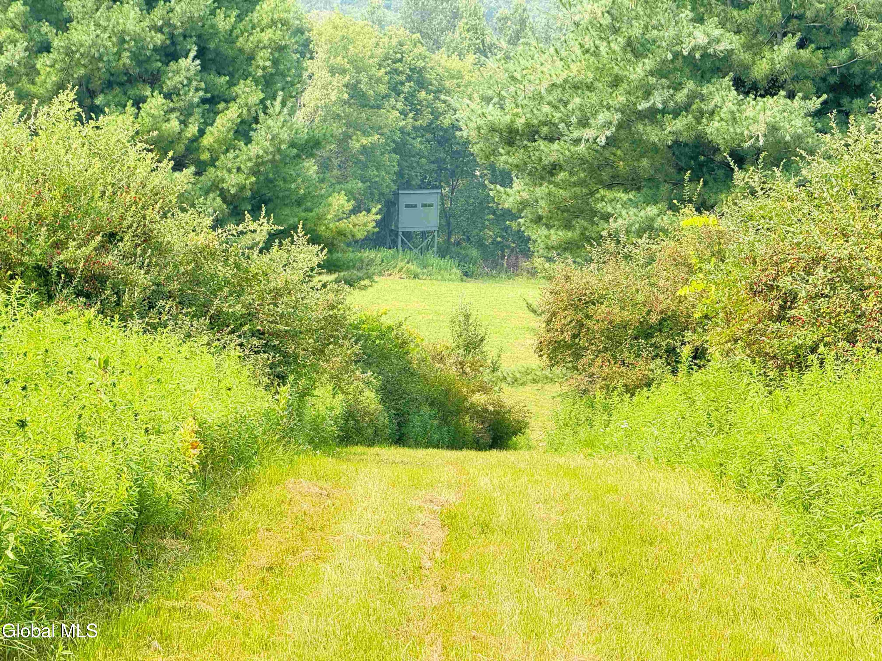 202 Eagle Bridge Road Hoosick, NY 12057 - Photo 34 of 62 Staring_34.0