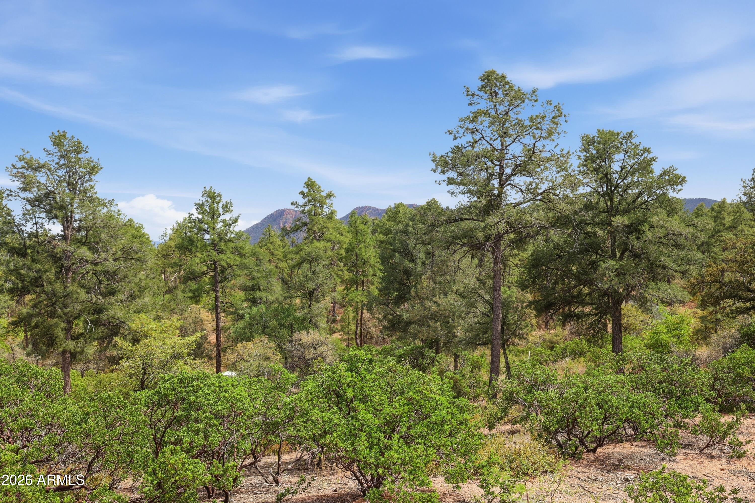 210 South Rim Club Drive, Unit 36 Payson, AZ 85541 - Photo 15 of 23 61