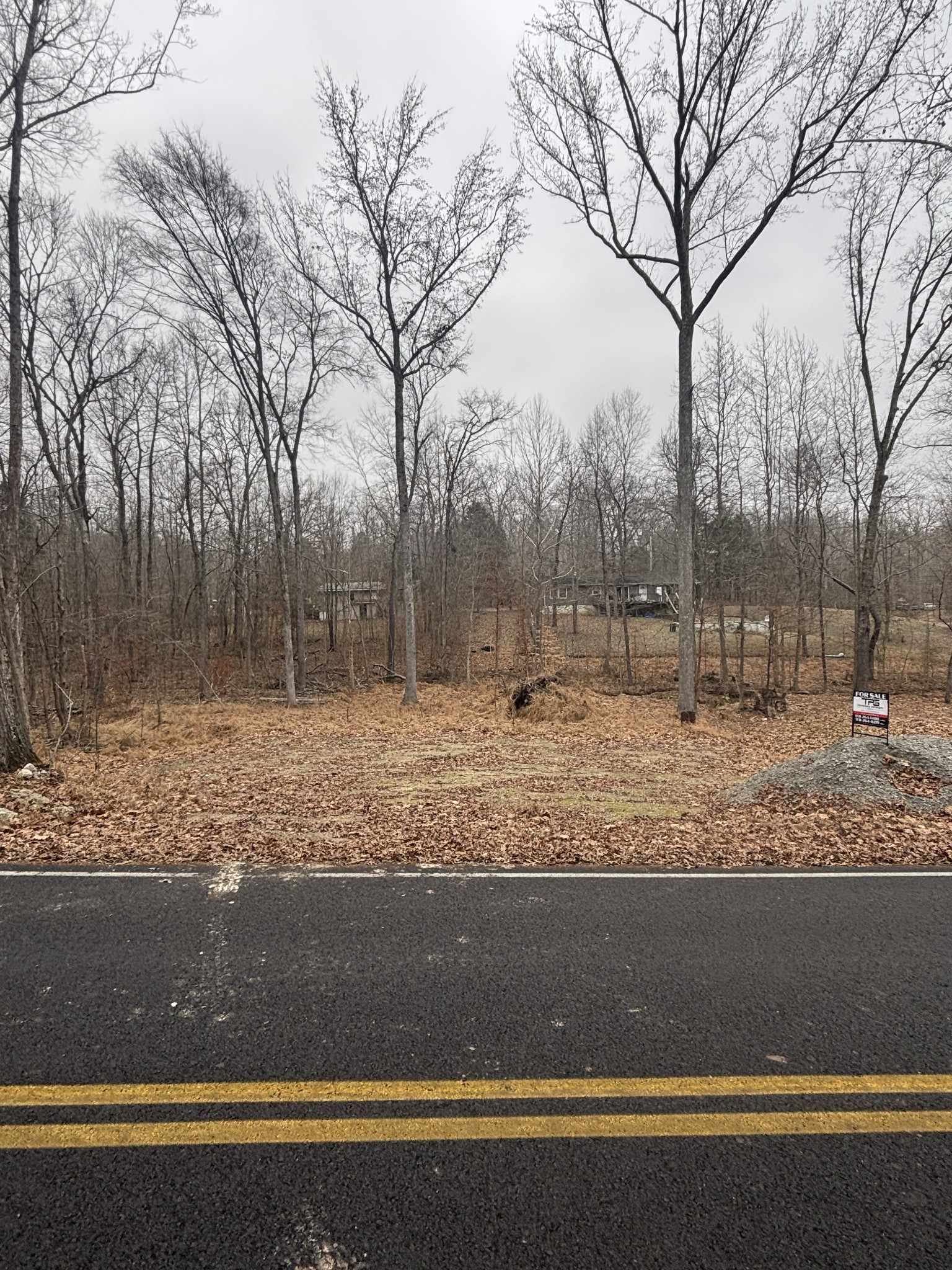 a view of a yard with large trees