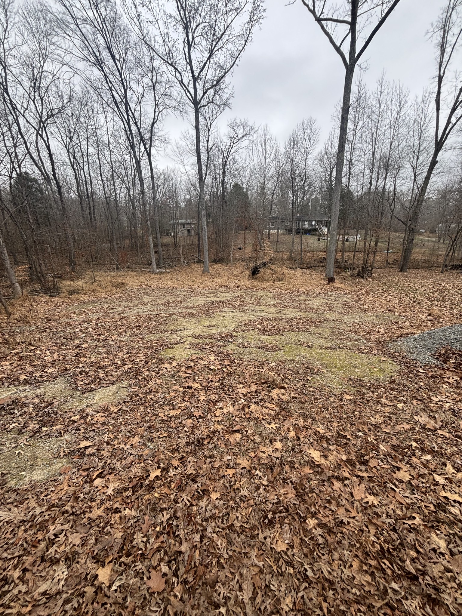 54 Shetland Circle Camden, TN 38320 - Photo 2 of 10 a backyard of a house with trees