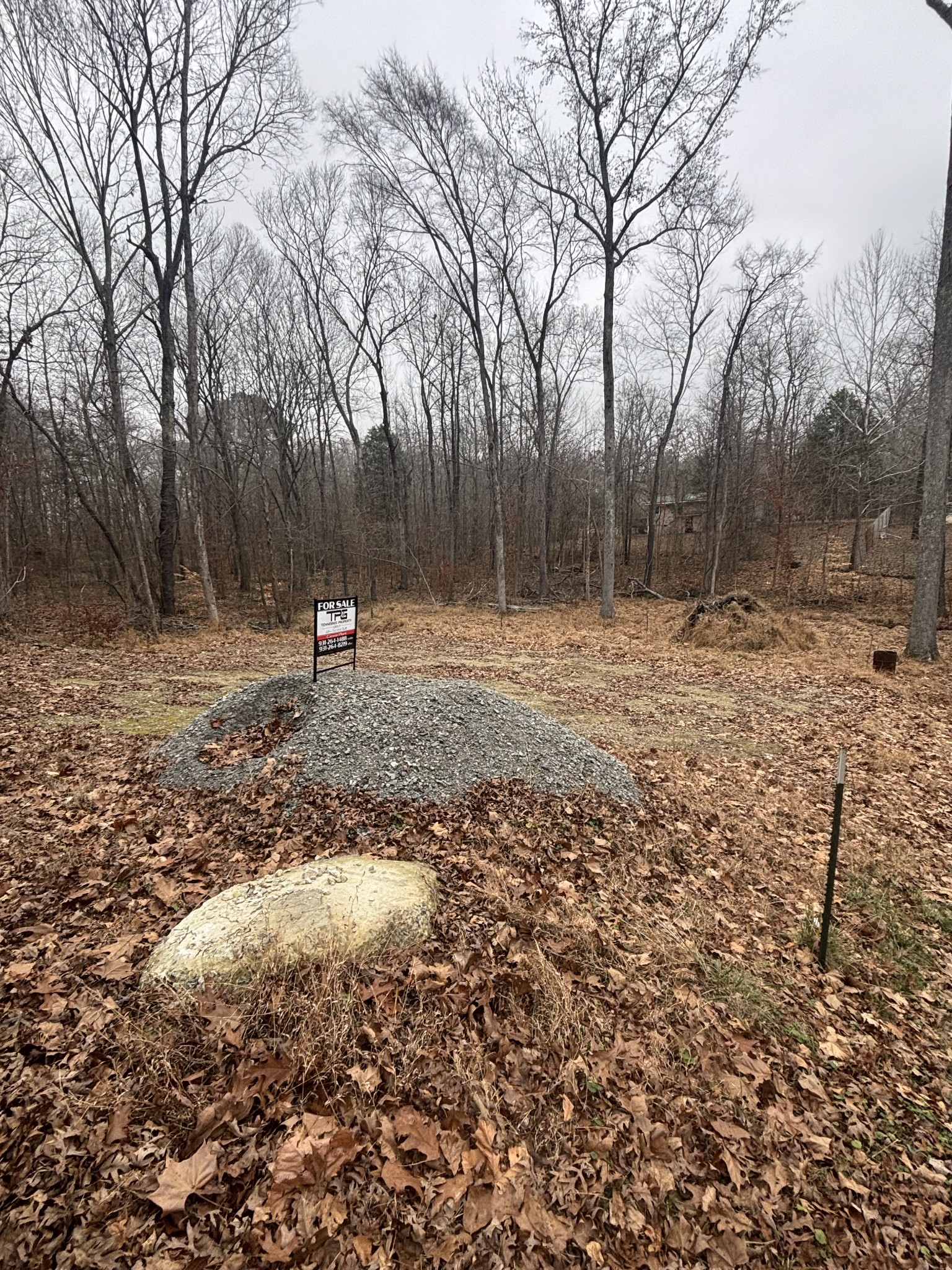 54 Shetland Circle Camden, TN 38320 - Photo 4 of 10 a backyard of a house with lots of green space