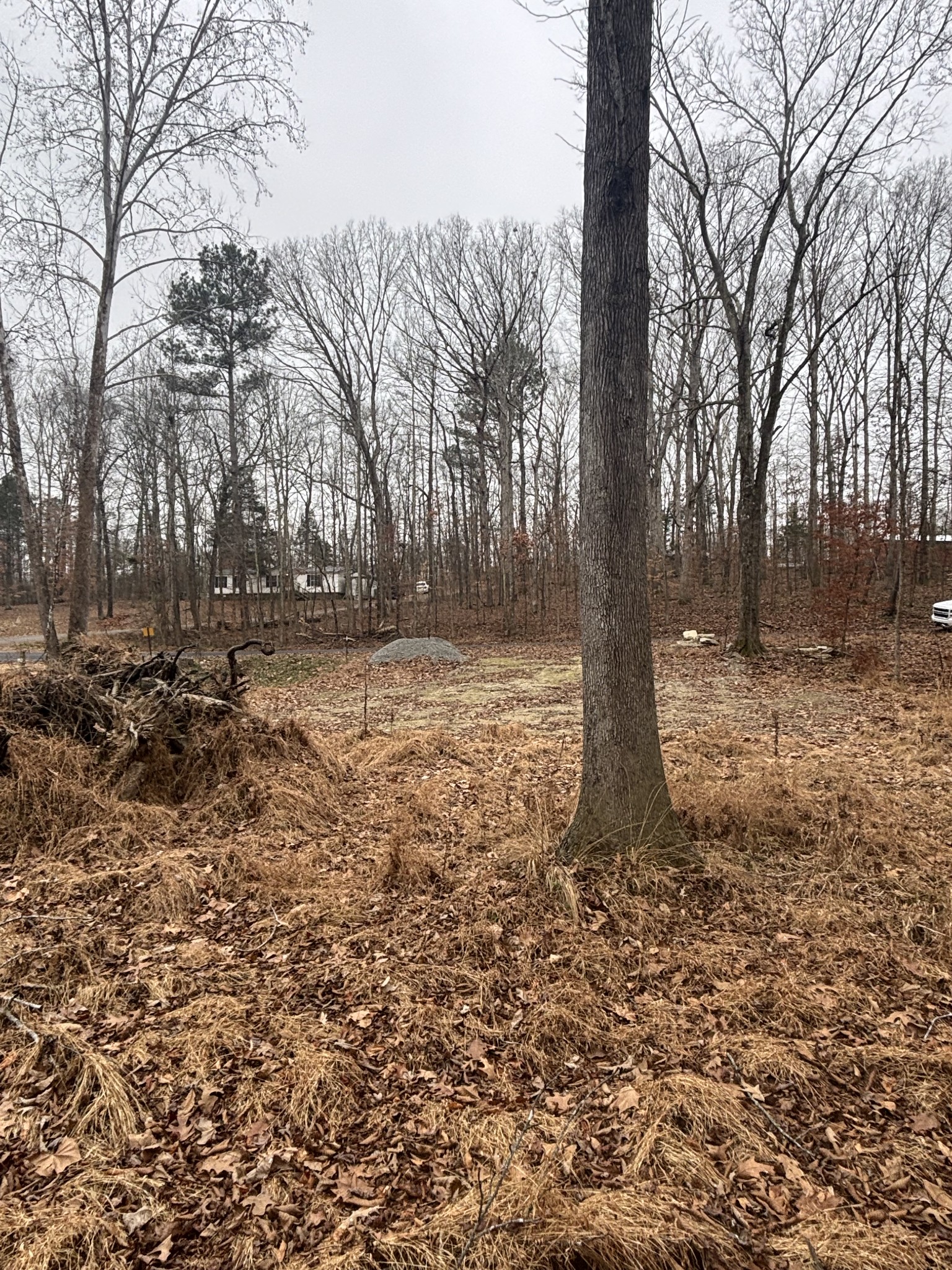 54 Shetland Circle Camden, TN 38320 - Photo 6 of 10 a view of a yard with trees