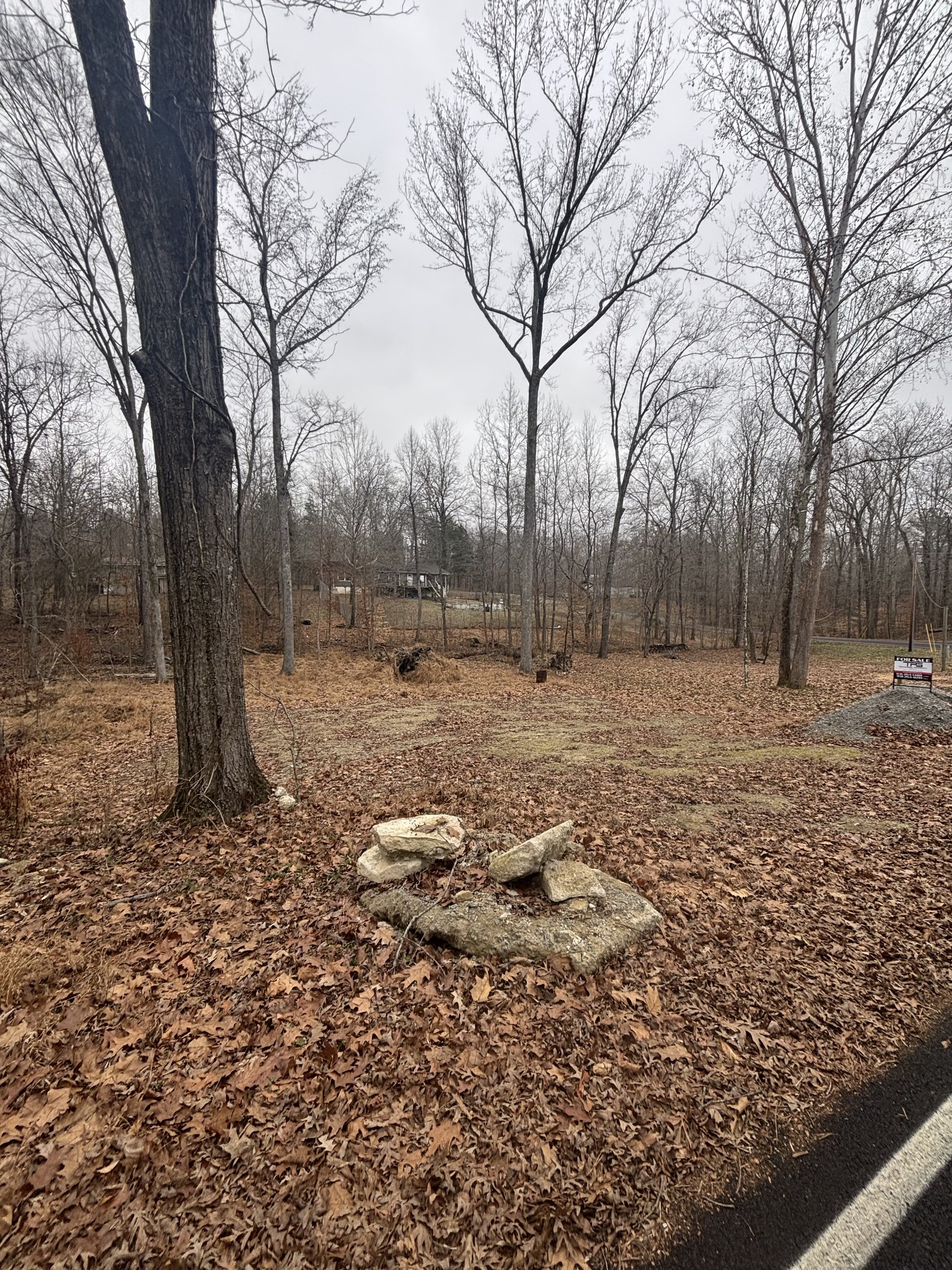 54 Shetland Circle Camden, TN 38320 - Photo 8 of 10 a backyard of a house with lots of green space