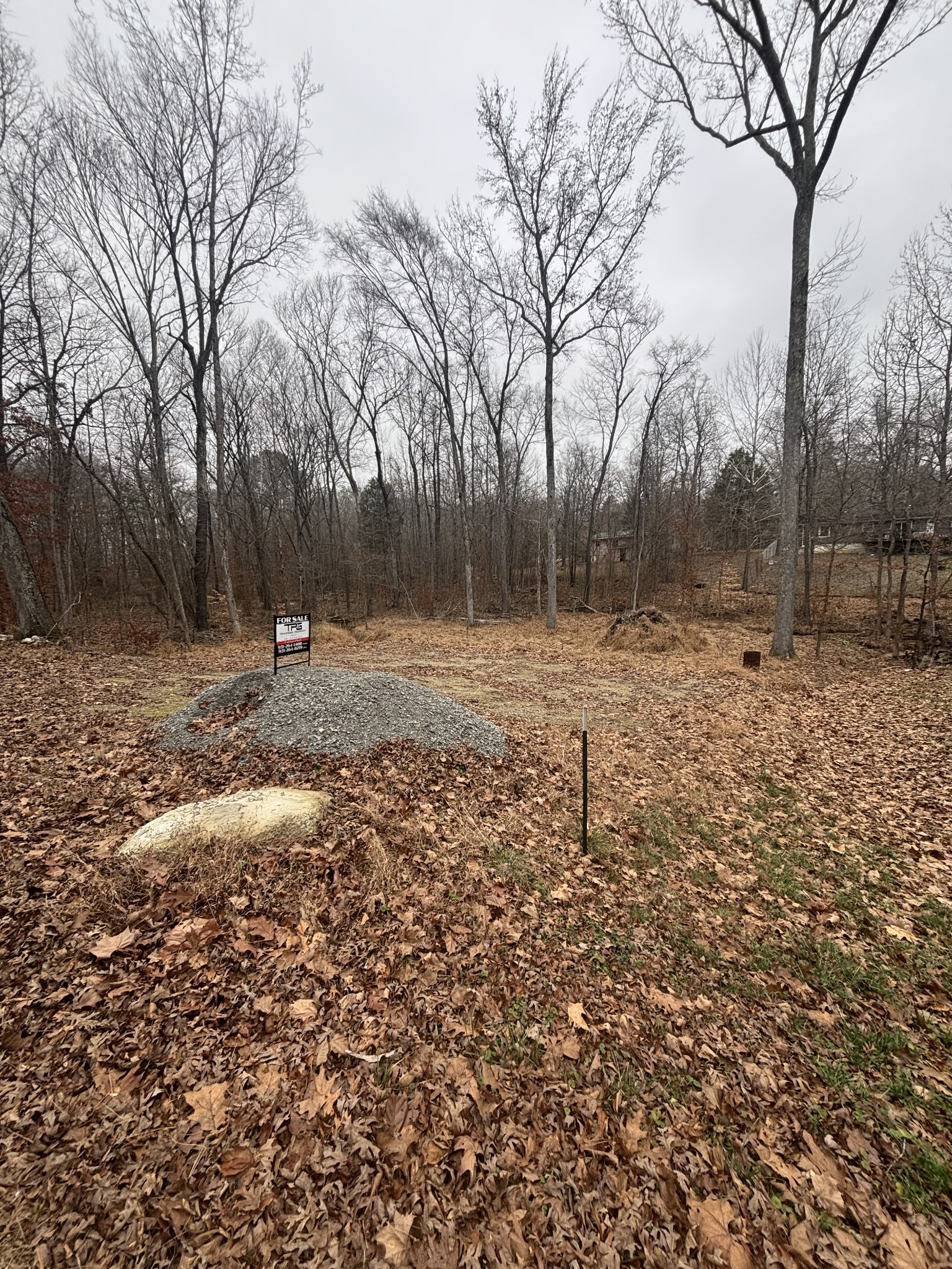 54 Shetland Circle Camden, TN 38320 - Photo 9 of 10 a view of outdoor space with trees