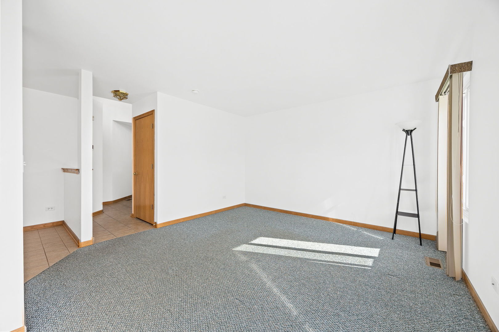 658 Chestnut Ridge Minooka, IL 60447 - Photo 9 of 30 Gallery Image 9