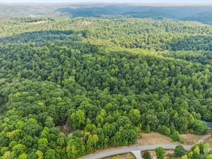 a view of a green field with lots of bushes