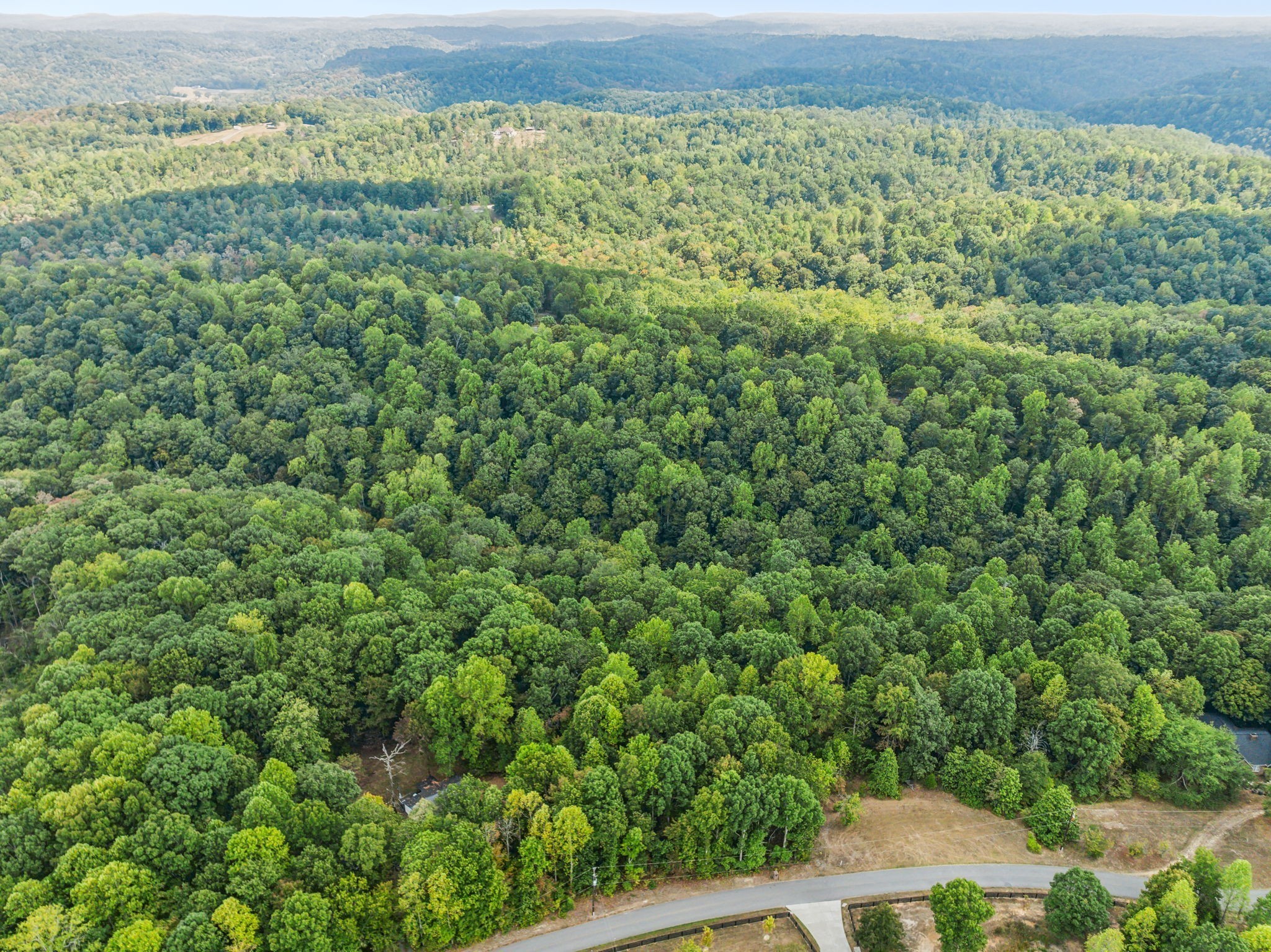 0 Gibbs Road Ashland City, TN 37015 - Photo 12 of 23 a view of a green field with lots of bushes