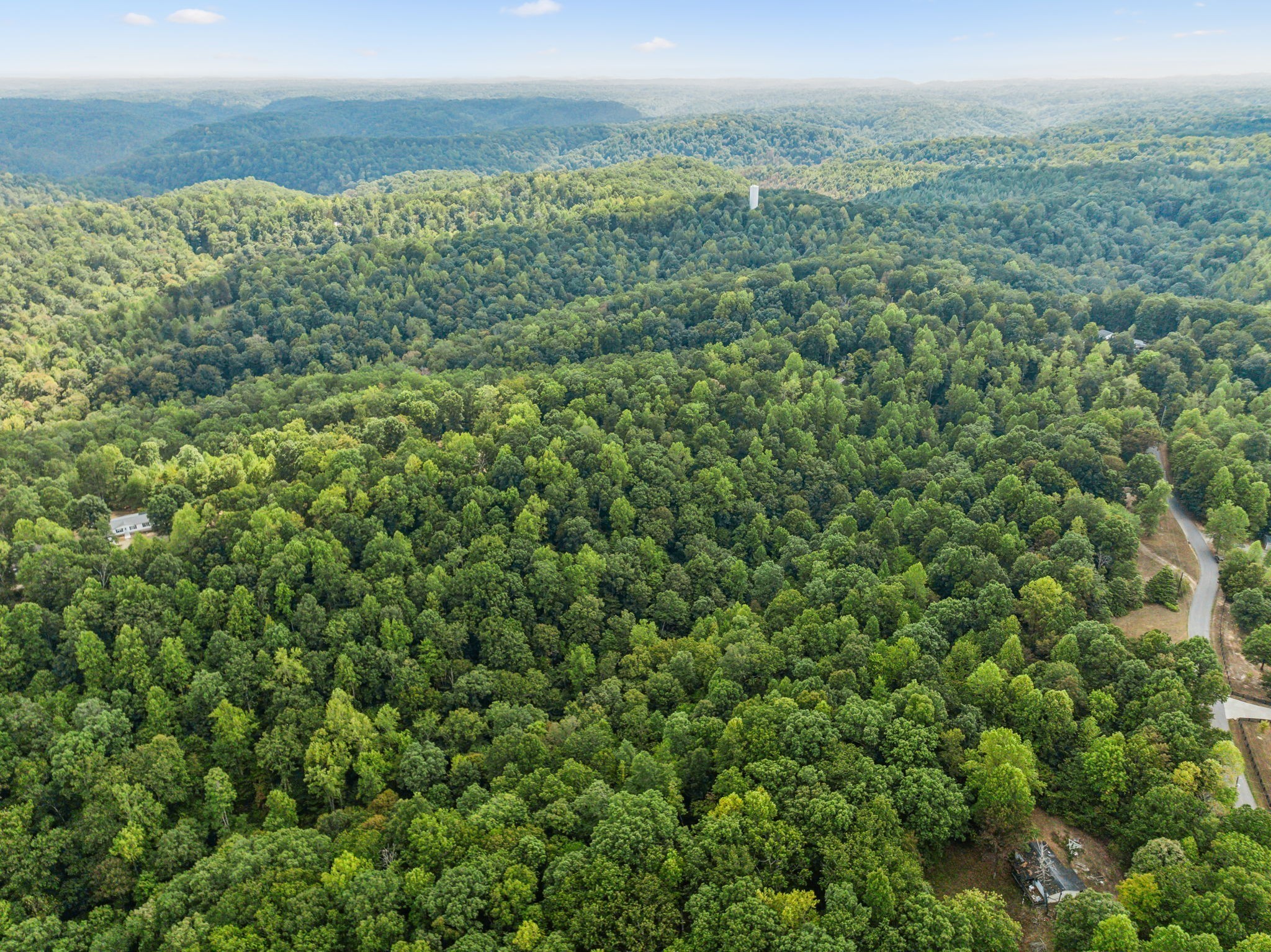 0 Gibbs Road Ashland City, TN 37015 - Photo 14 of 23 a view of a yard with an outdoor space