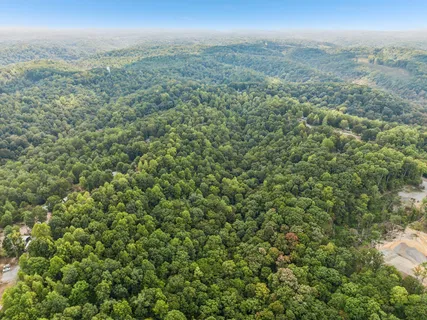a view of a city with lush green forest