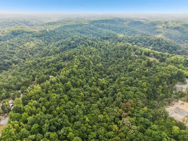 a view of a city with lush green forest