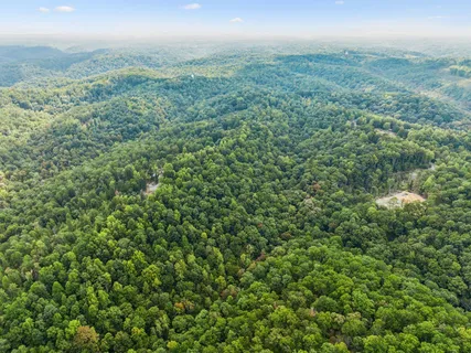 a view of a green field with lots of bushes