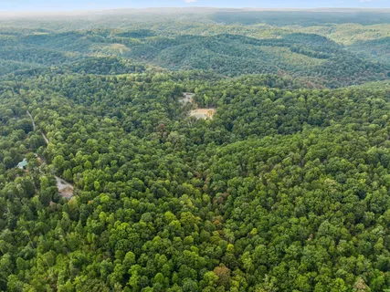 a view of a green field with lots of bushes