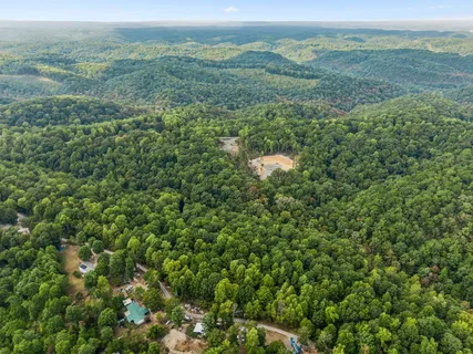 a view of a lush green forest with trees and houses