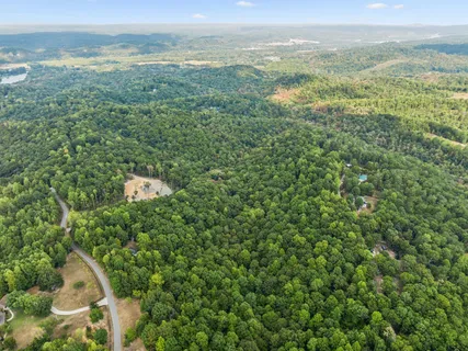 a view of a city with lush green forest