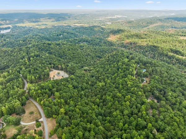 a view of a city with lush green forest