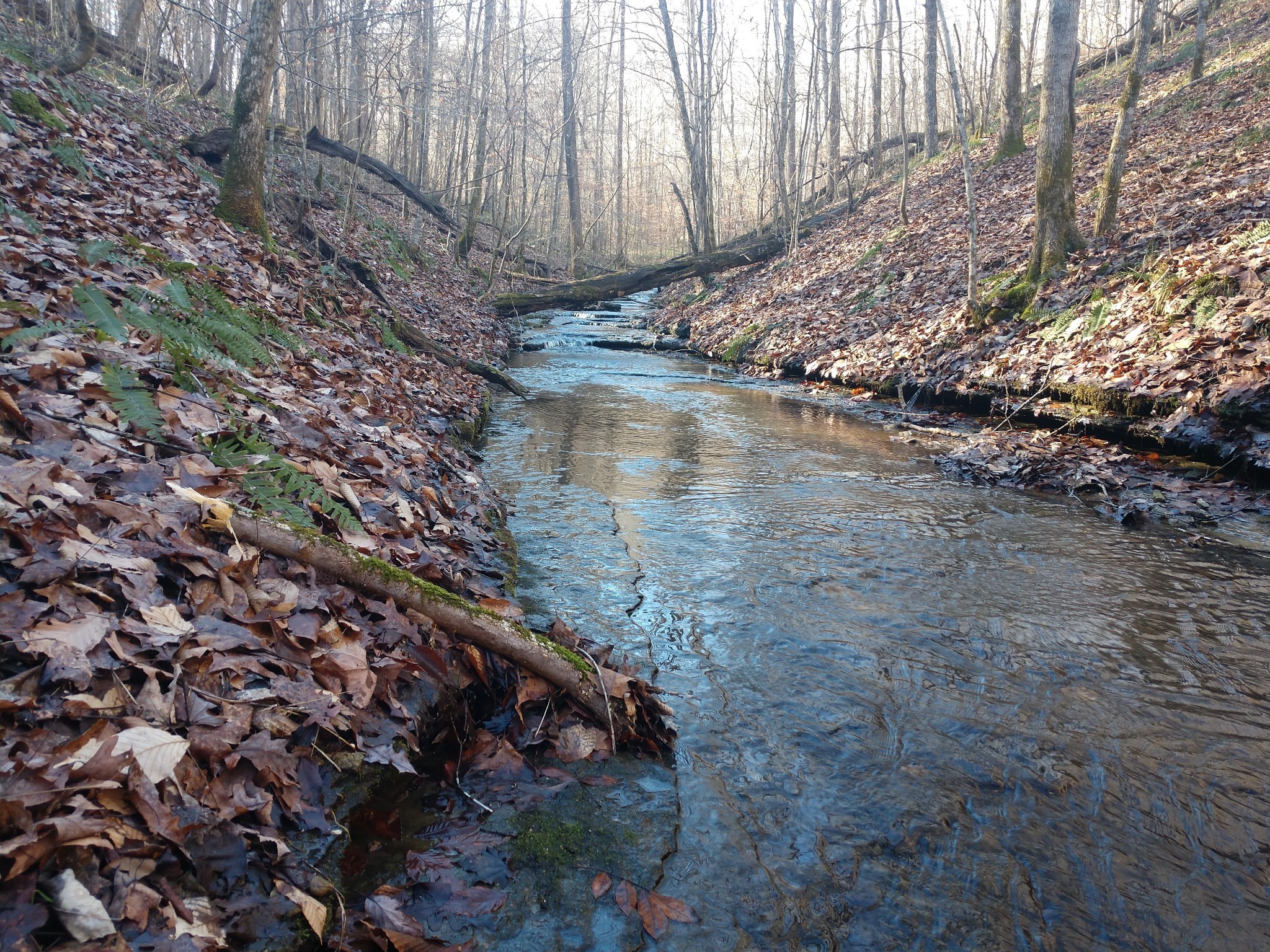 0 Gibbs Road Ashland City, TN 37015 - Photo 3 of 23 a view of water pond with green trees