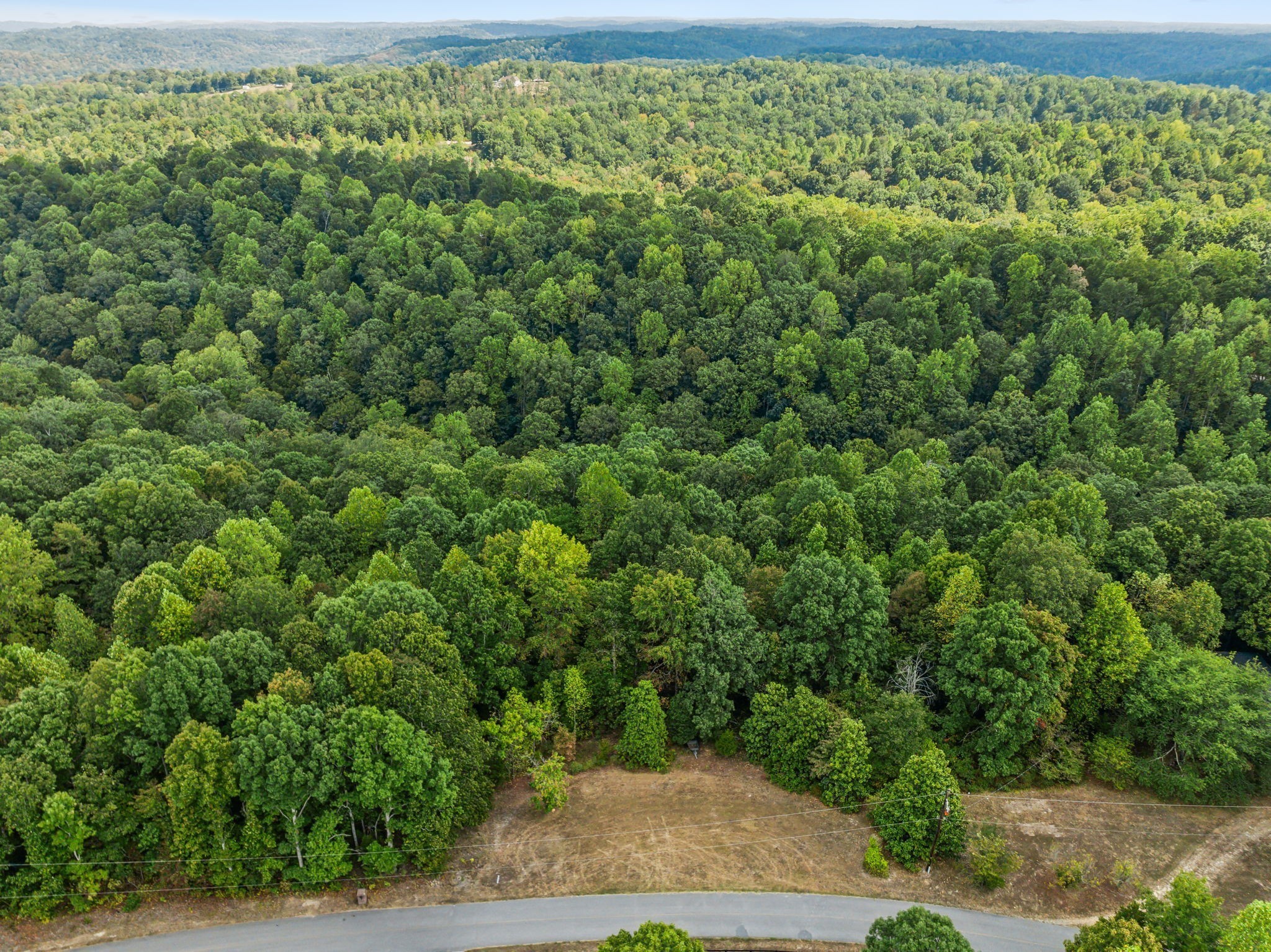 0 Gibbs Road Ashland City, TN 37015 - Photo 5 of 23 a view of a lush green forest
