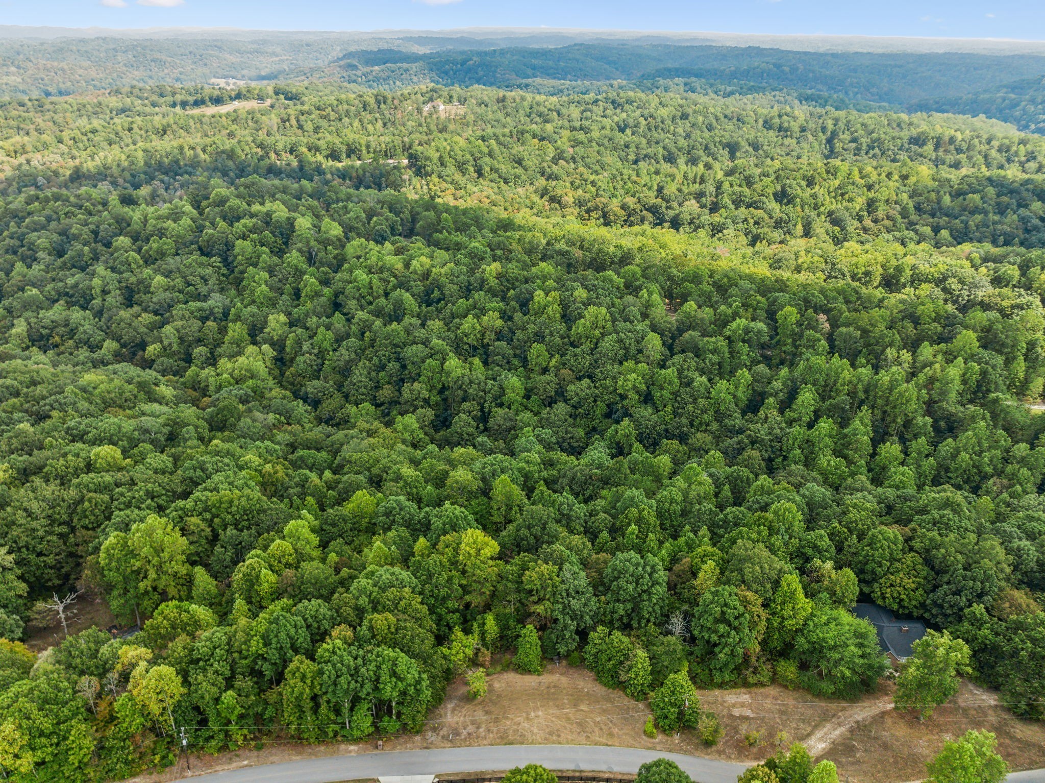 0 Gibbs Road Ashland City, TN 37015 - Photo 6 of 23 a view of a yard with an outdoor space