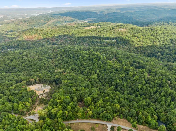 a view of a city with lush green forest