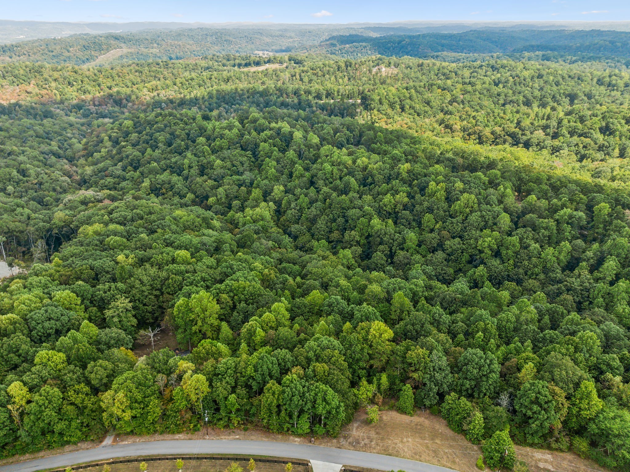 0 Gibbs Road Ashland City, TN 37015 - Photo 8 of 23 a view of a yard with an outdoor space