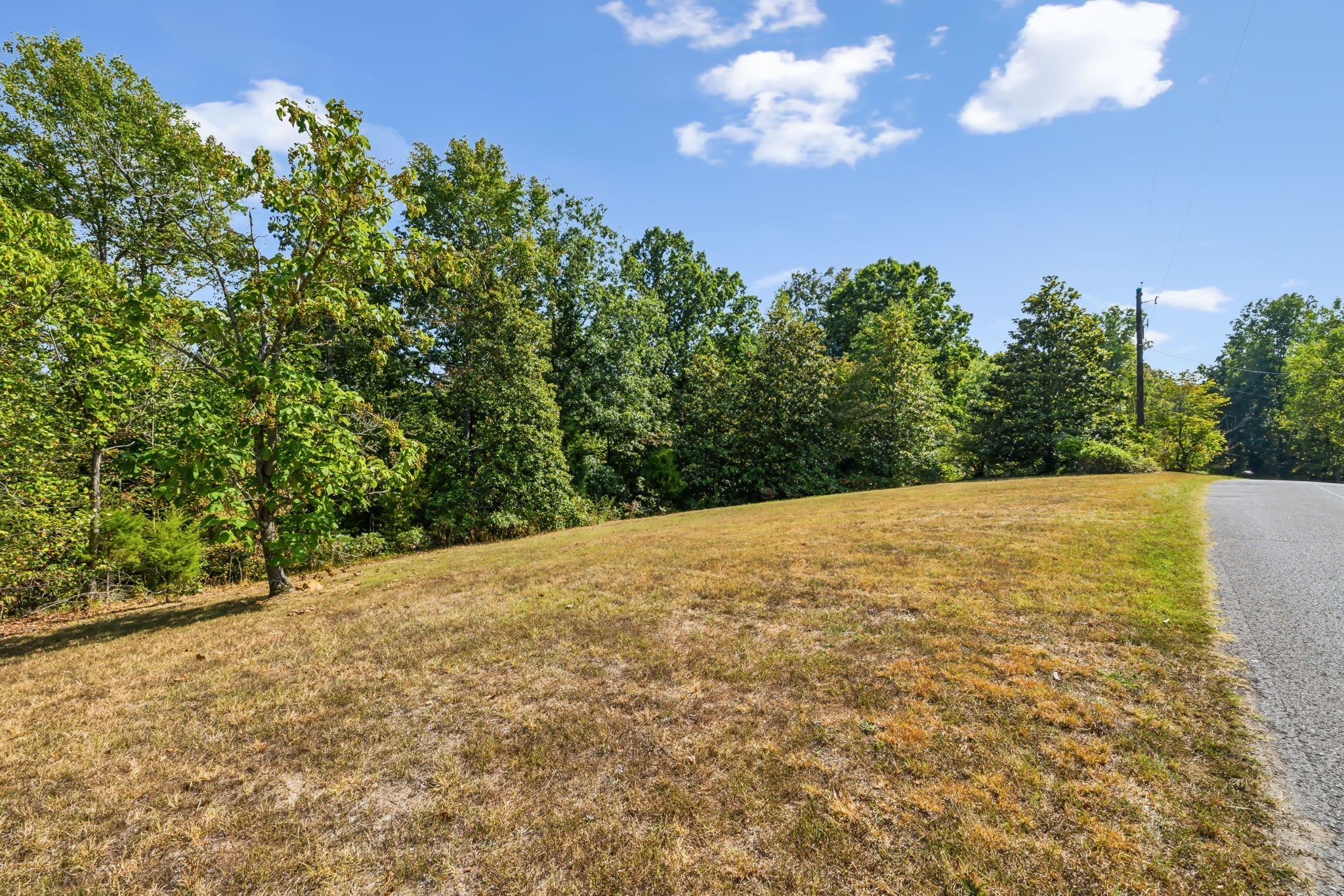 0 Gibbs Road Ashland City, TN 37015 - Photo 9 of 23 a view of a yard with an outdoor space