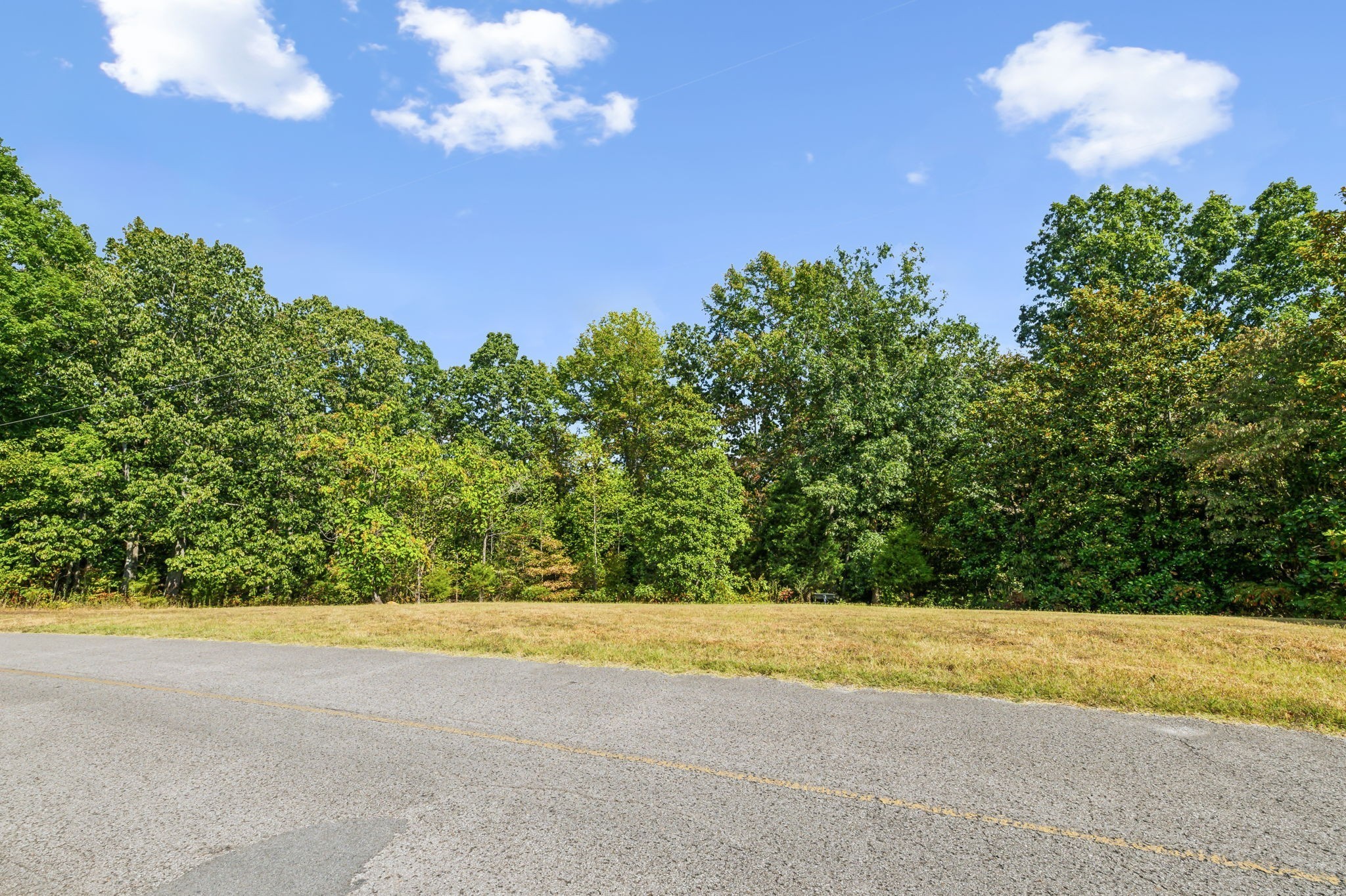 0 Gibbs Road Ashland City, TN 37015 - Photo 10 of 23 a view of a yard
