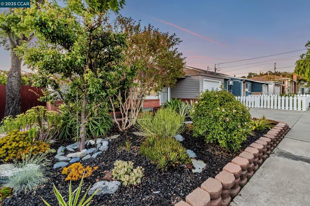 a view of a back yard of the house