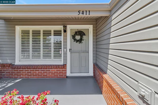 a living room with furniture and a tree
