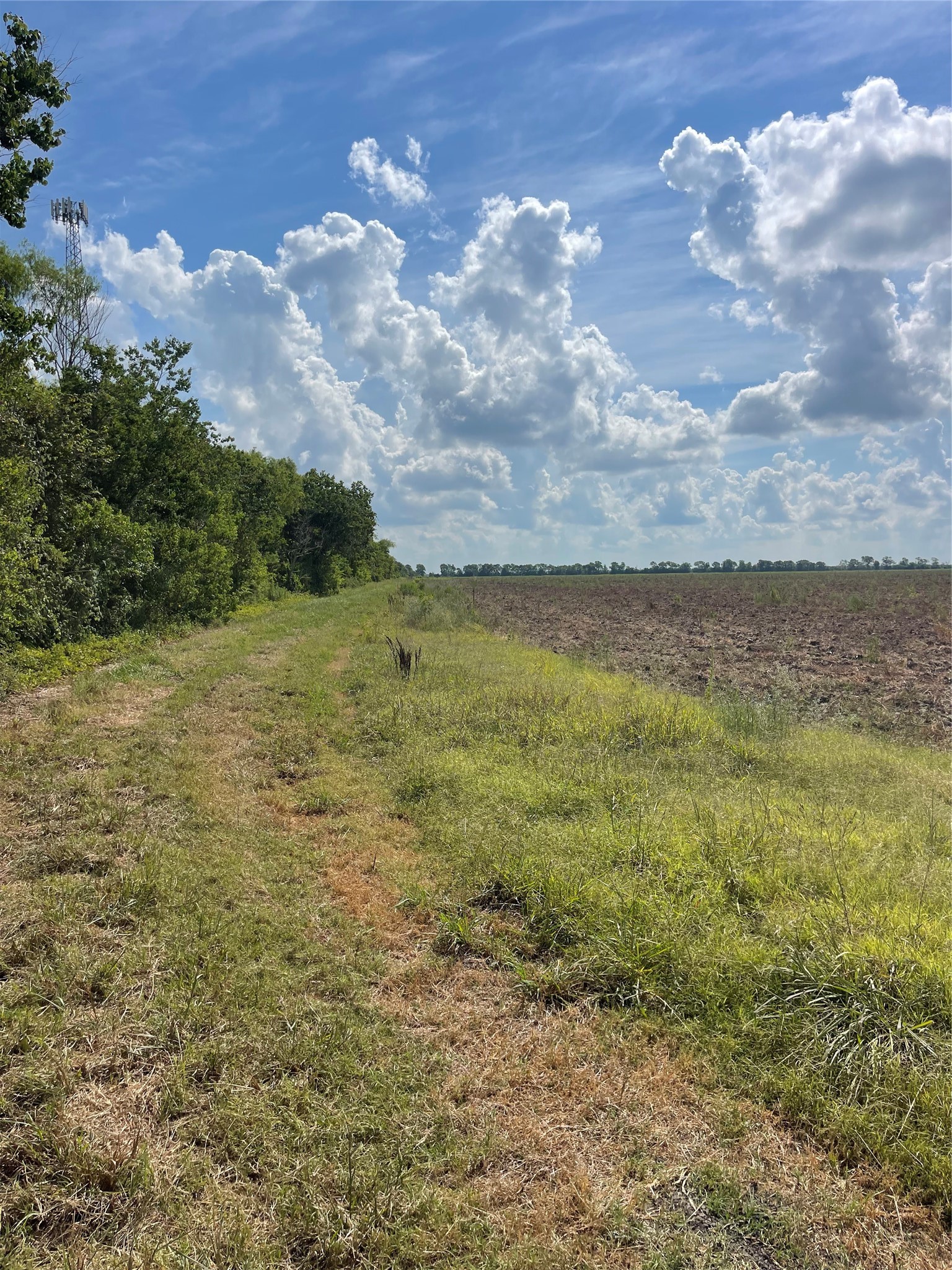 46 Cr-46 Angleton Tx 77515 Angleton, TX 77515 - Photo 9 of 11