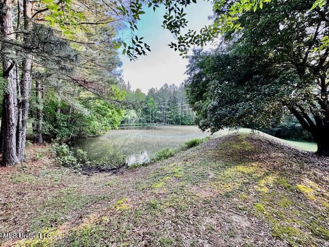 86 Pleasant Hill Road Mount Olive, MS 39119 - Photo 27 of 29 IMG_2754