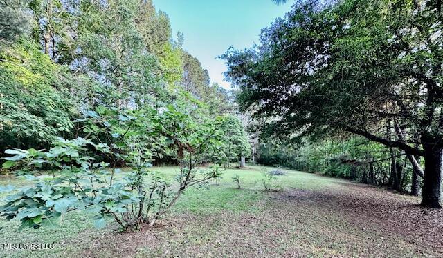 86 Pleasant Hill Road Mount Olive, MS 39119 - Photo 28 of 29 IMG_2755