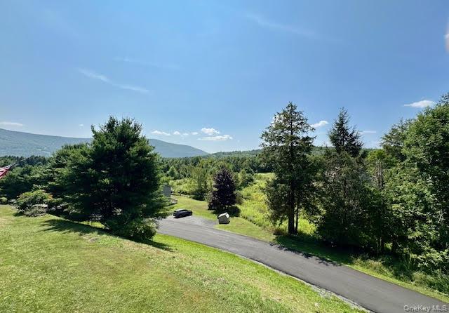 79 Windham Ridge Road, Unit 17A Windham, NY 12496 - Photo 11 of 18 a view of a yard