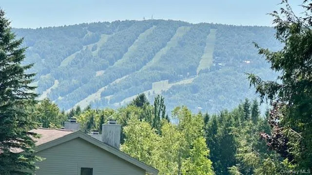 an aerial view of houses covered in trees