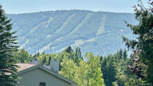 79 Windham Ridge Road, Unit 17A Windham, NY 12496 - Photo 12 of 18 an aerial view of houses covered in trees