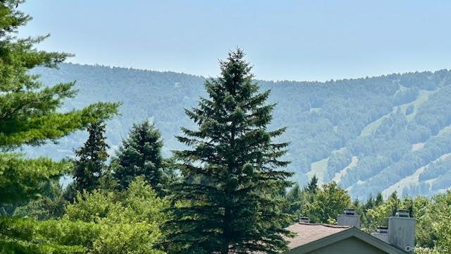 79 Windham Ridge Road, Unit 17A Windham, NY 12496 - Photo 13 of 18 an aerial view of mountain with house in background