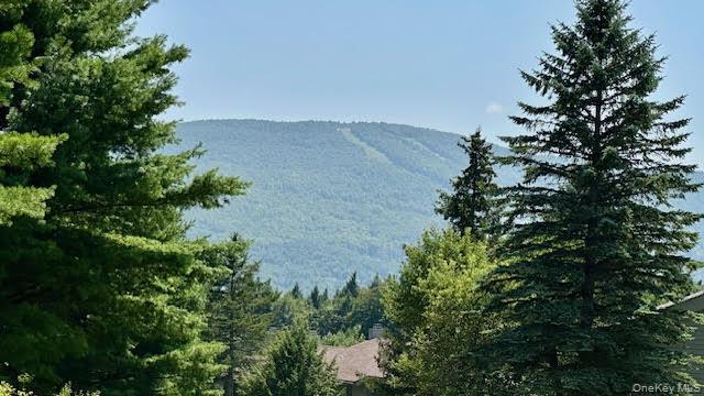 79 Windham Ridge Road, Unit 17A Windham, NY 12496 - Photo 14 of 18 an aerial view of a house with a yard and trees all around
