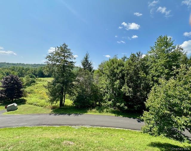 79 Windham Ridge Road, Unit 17A Windham, NY 12496 - Photo 15 of 18 a view of yard with green space