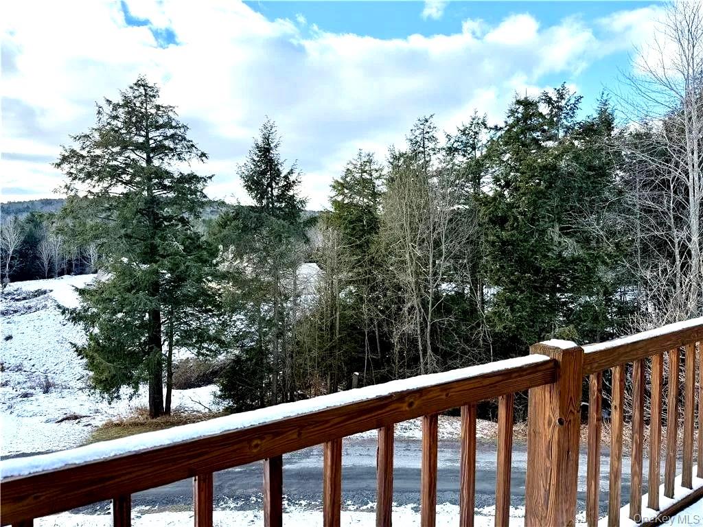 79 Windham Ridge Road, Unit 17A Windham, NY 12496 - Photo 18 of 18 a view of balcony with trees