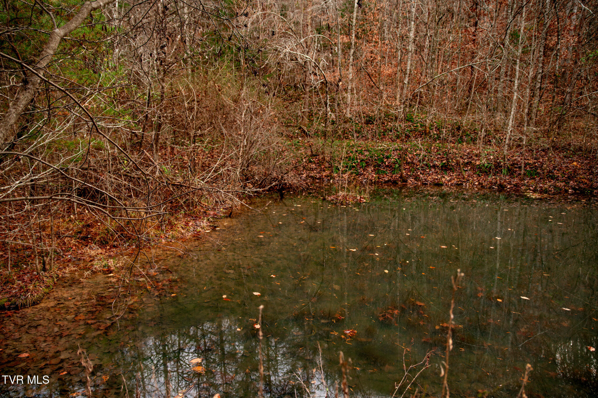 Tbd Panther Creek Road Sneedville, TN 37869 - Photo 18 of 48 CF2_1037