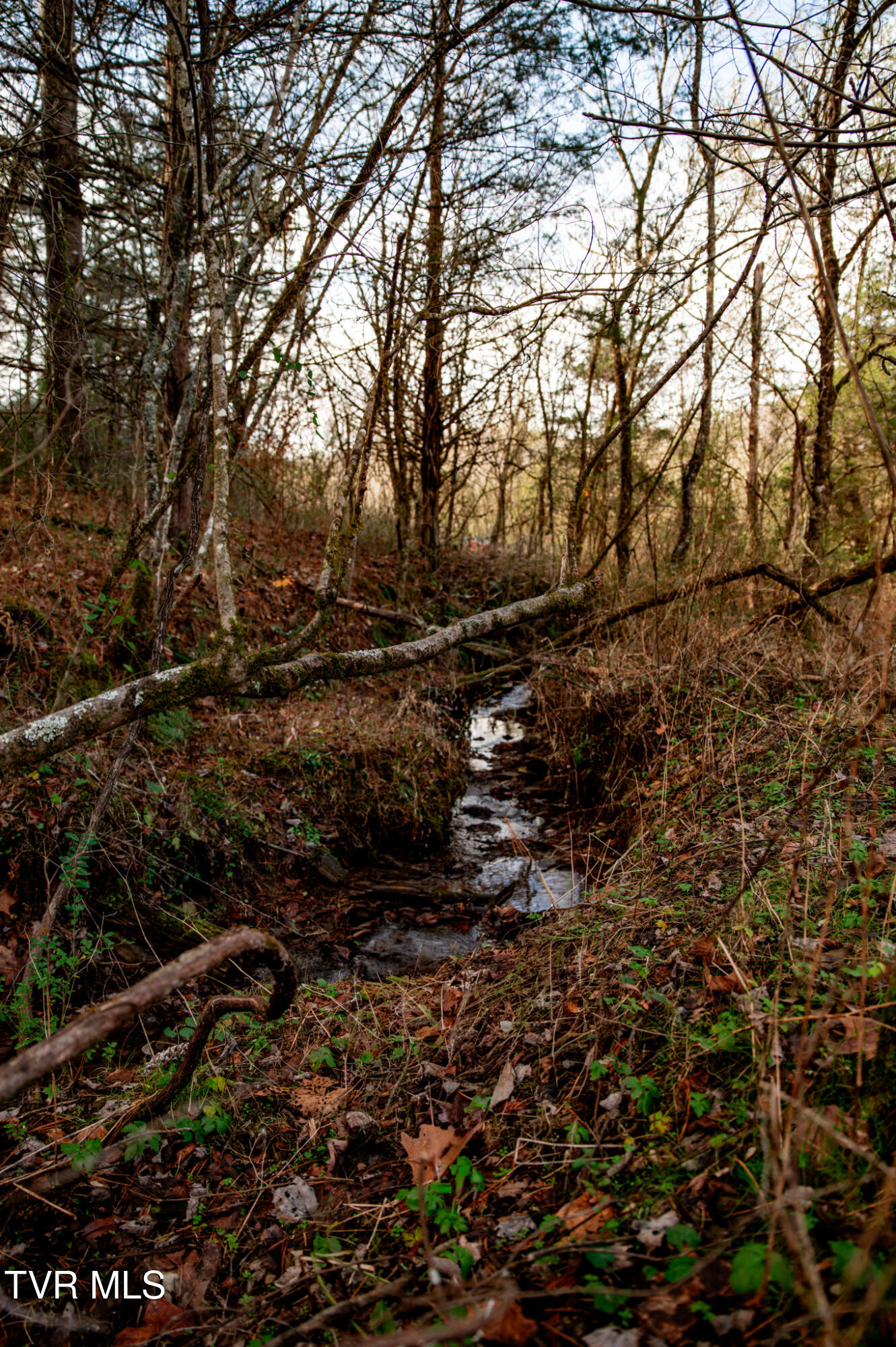 Tbd Panther Creek Road Sneedville, TN 37869 - Photo 2 of 48 CF2_1001