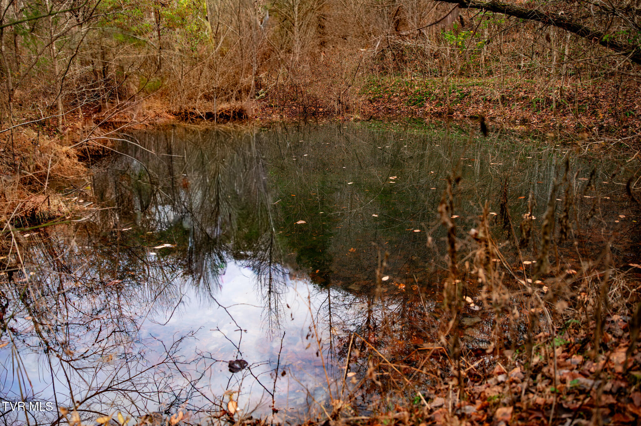 Tbd Panther Creek Road Sneedville, TN 37869 - Photo 21 of 48 CF2_1041