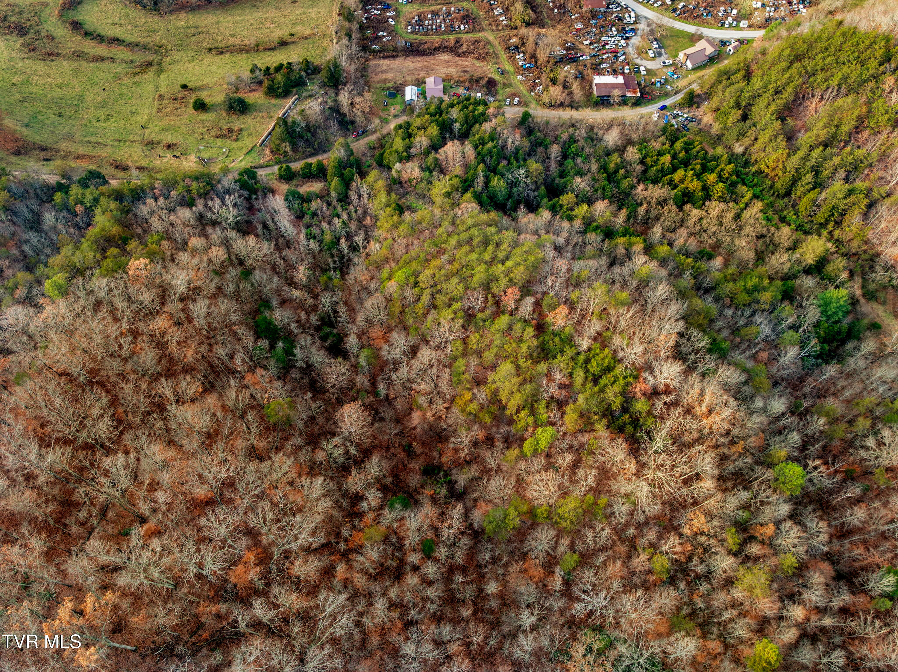 Tbd Panther Creek Road Sneedville, TN 37869 - Photo 22 of 48 11-web-or-mls-3206 Panther Creek Rd-15