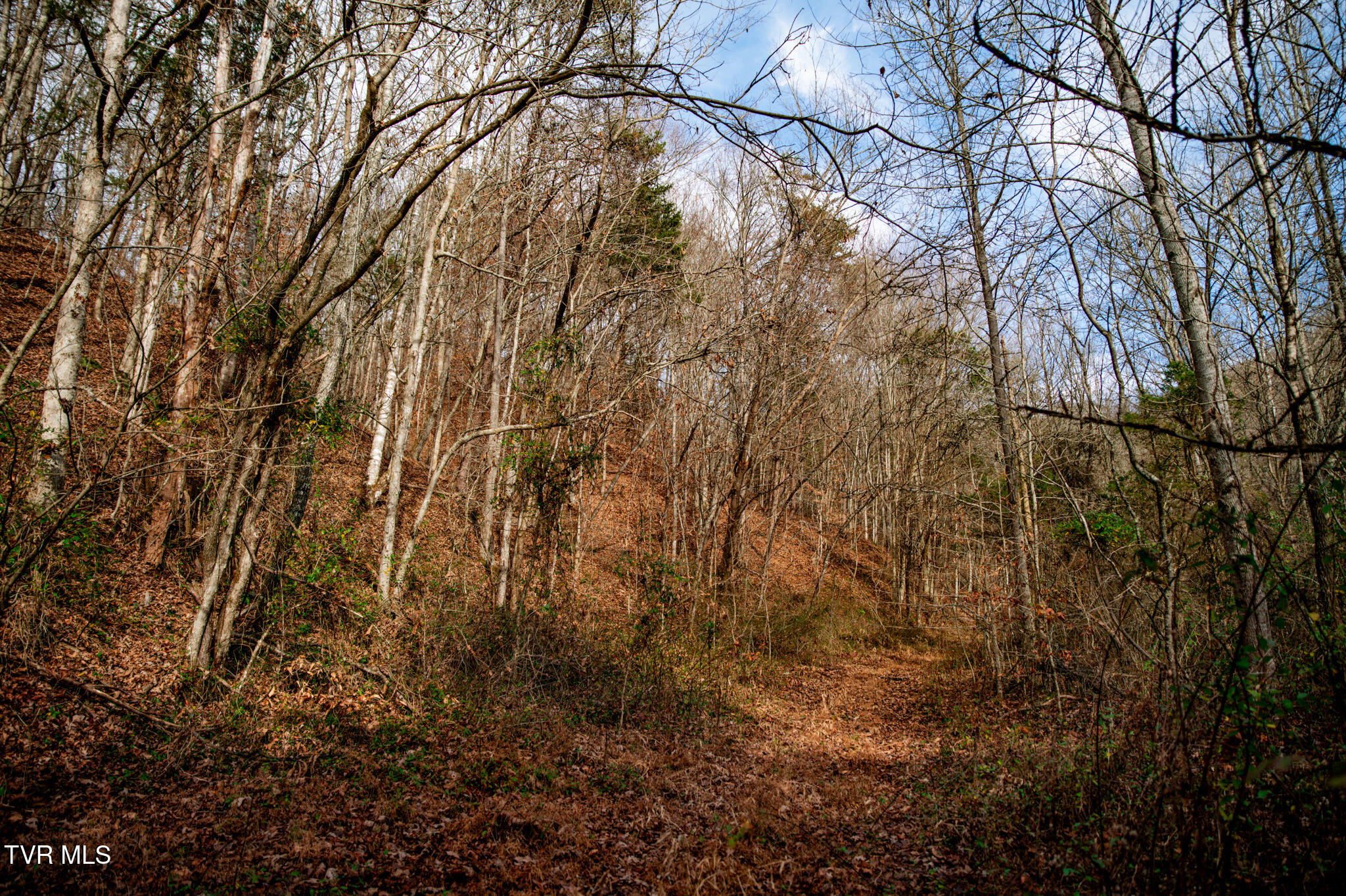 Tbd Panther Creek Road Sneedville, TN 37869 - Photo 25 of 48 CF2_1021